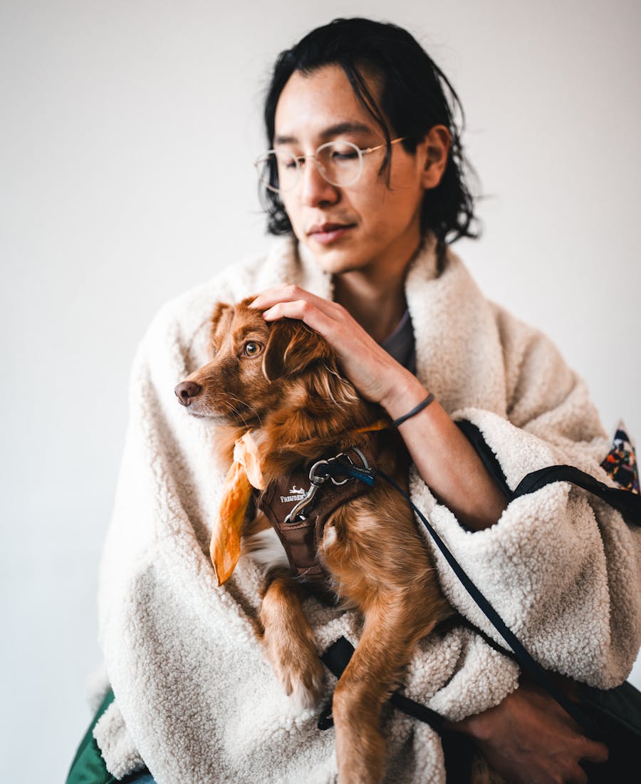 Persona cuidando a un perro